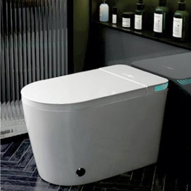 Bồn cầu thông minh CTM-01